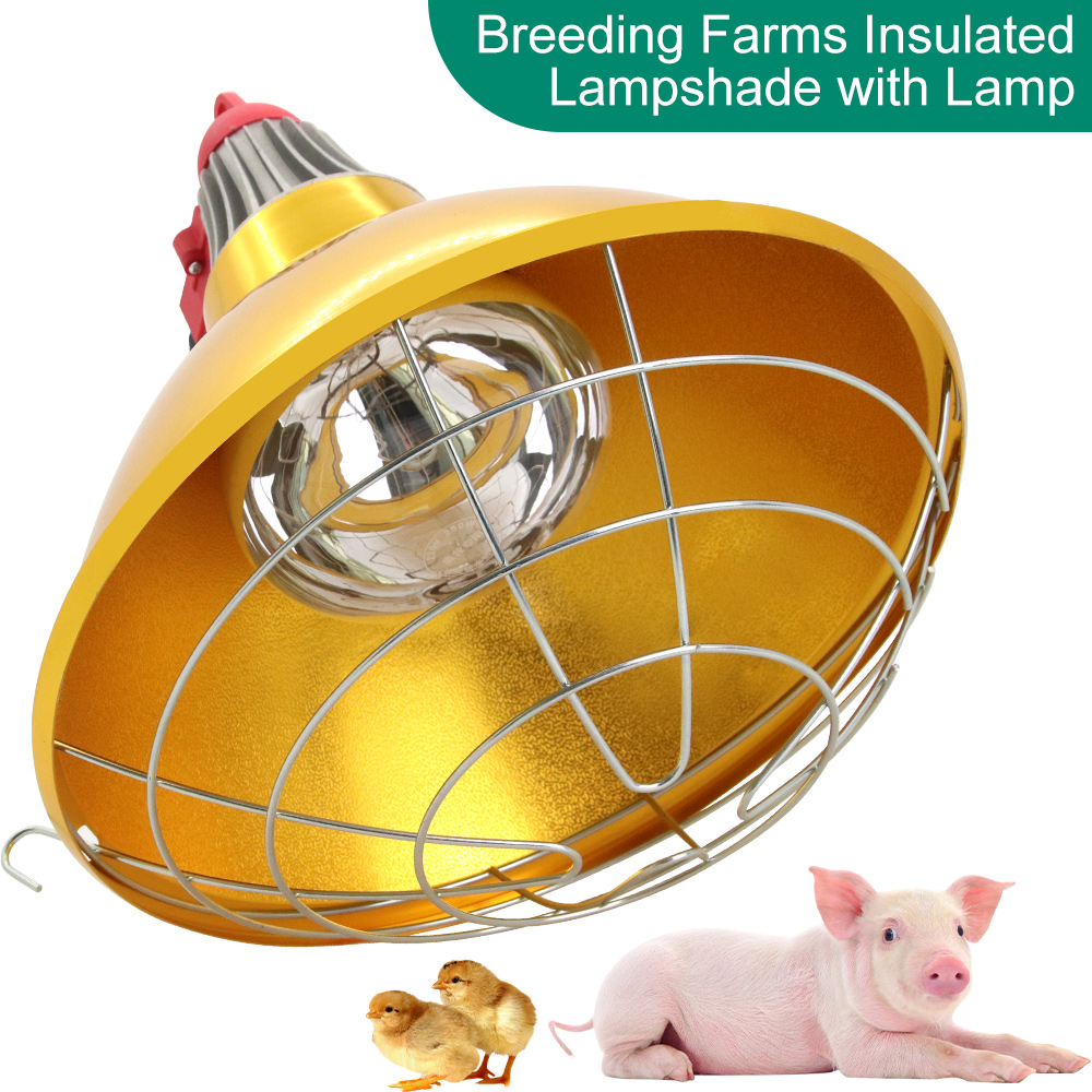 Gardening Tools Brands - Vee Varken Broed Warmer Verwarming Lampenkap