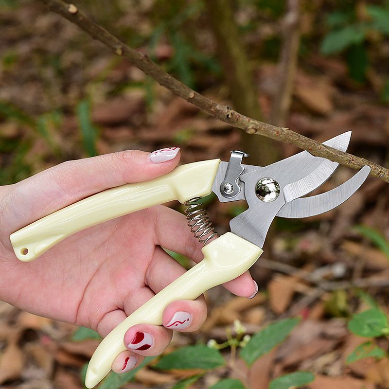 Pruning Shears - Arbeidsbesparende tuinsnoeischaar, professionele handknipper voor het