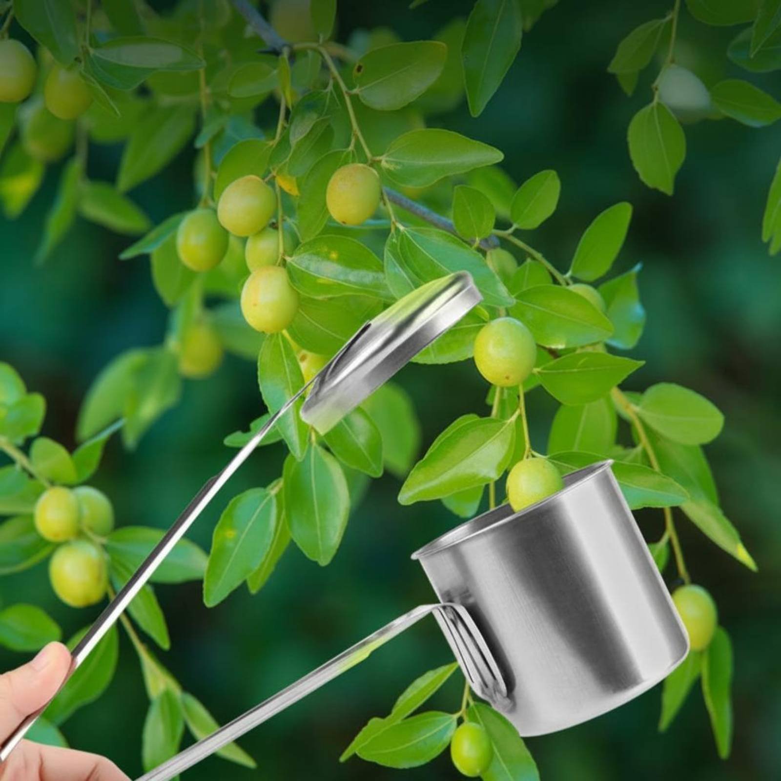 Gardening Tools And Uses - Cup Fruit Picker Roestvrijstalen fruitplukgereedschap Tuinuitrusting