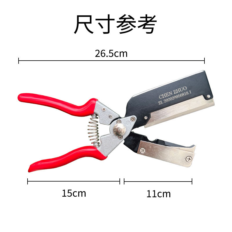 Pruning Shears - Enten Schaar Enten Mes Tuinieren Snoeischaar
