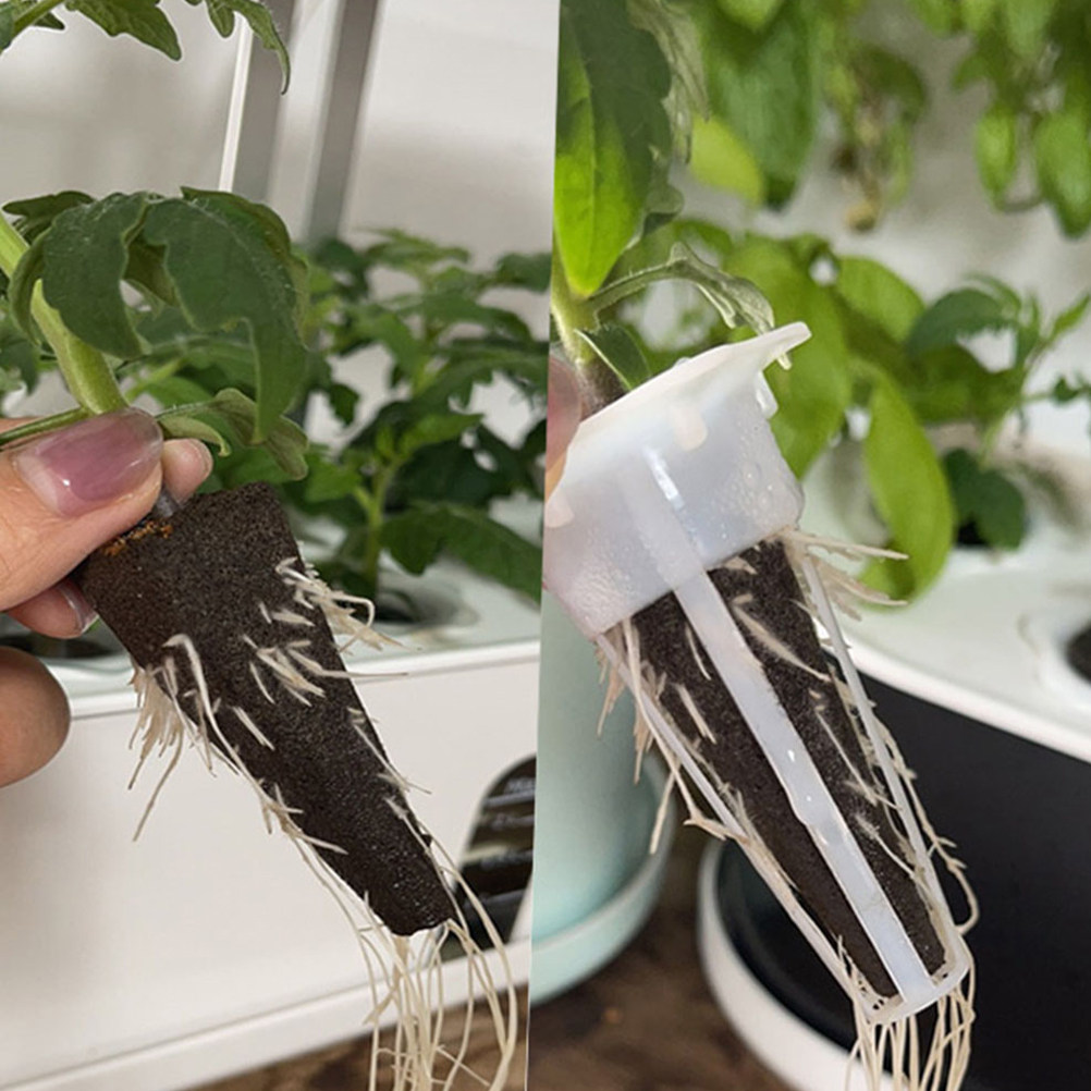 10 stuks kweekschuimen voor gr - Gardening Tools Vegetables recensie en prijs