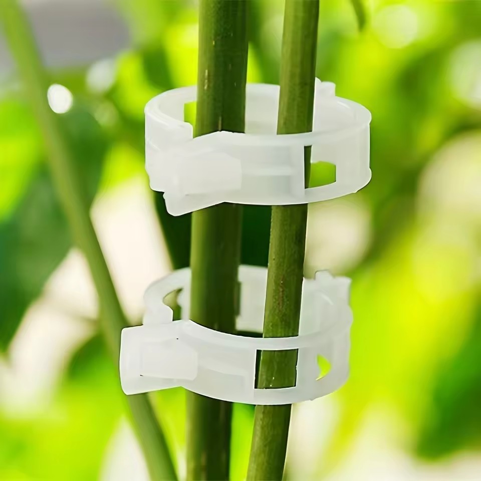 20 stuks plantensteunclips, op - Gardening Tools Vegetables recensie en prijs