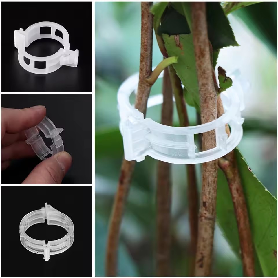 20 stuks plantensteunclips, op - Gardening Tools Vegetables recensie en prijs