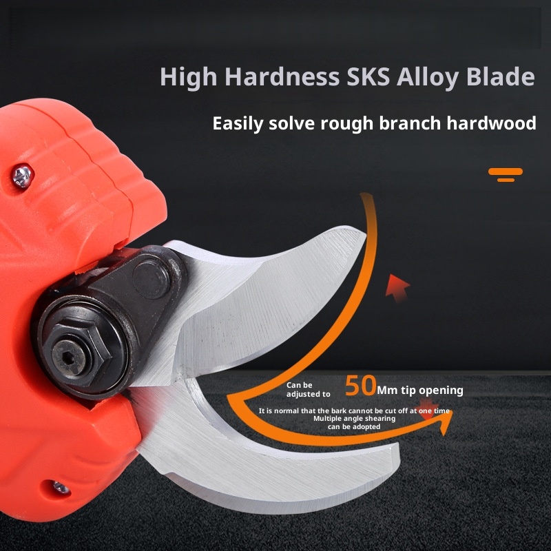 Uitgebreide telescopische elek - Pruning Shears recensie en prijs