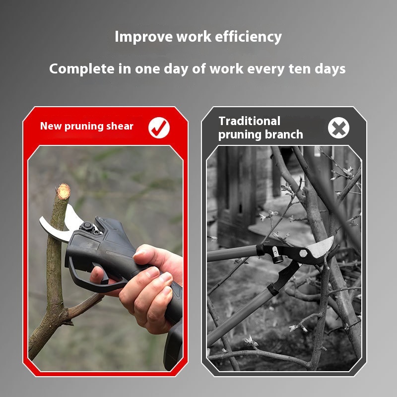 Draagbare Outdoor Draadloze El - Pruning Shears recensie en prijs