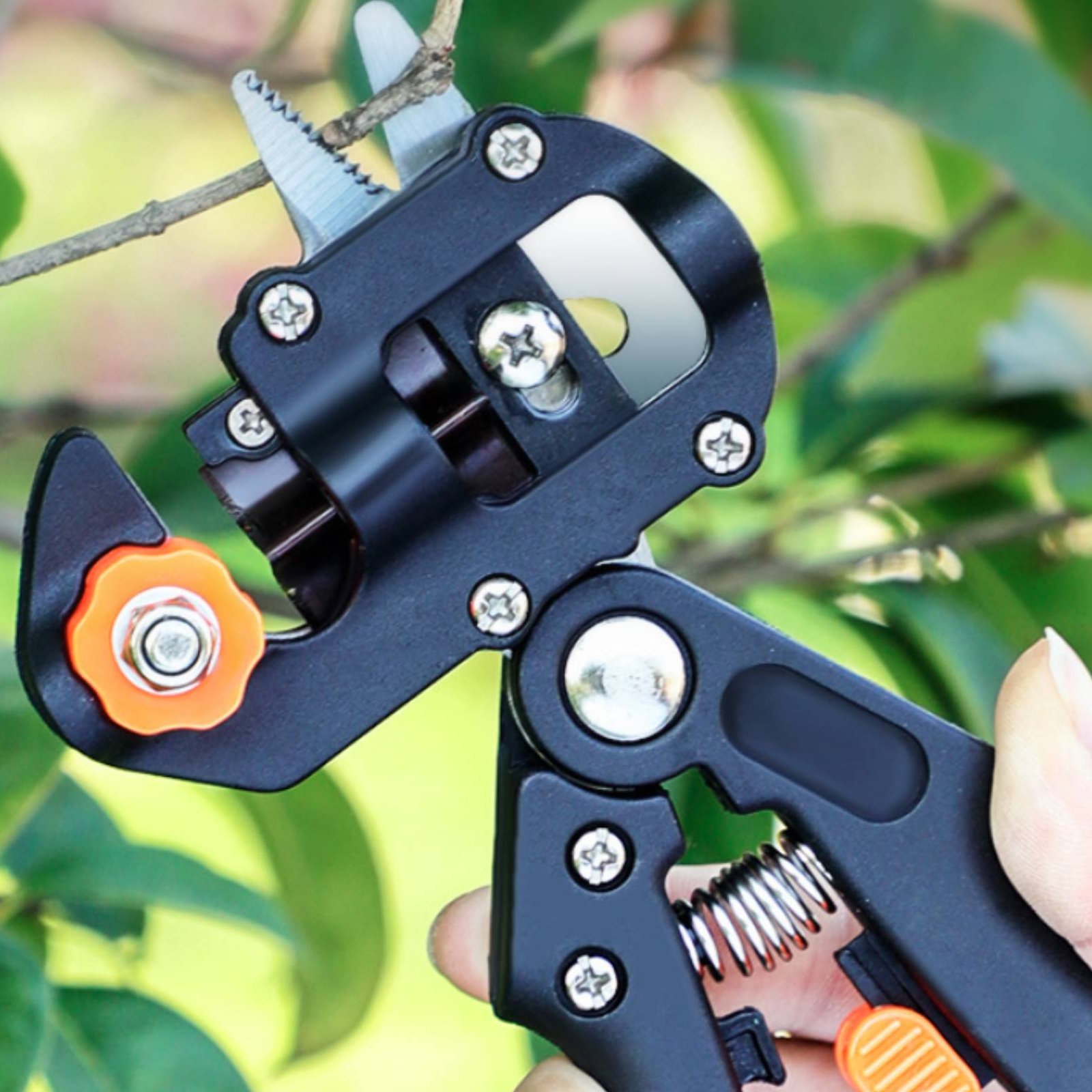 Snoeischaar voor enten 2-in-1  - Pruning Shears recensie en prijs