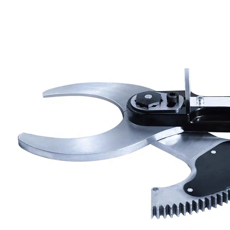 Nieuwe design bamboe landbouww - Pruning Shears recensie en prijs