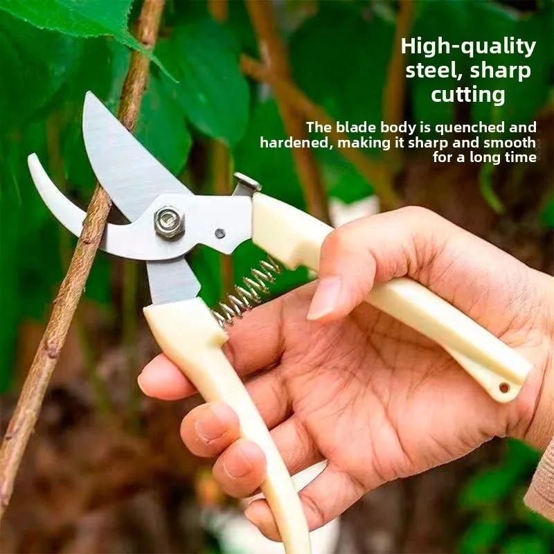 Arbeidsbesparende tuinsnoeisch - Pruning Shears recensie en prijs