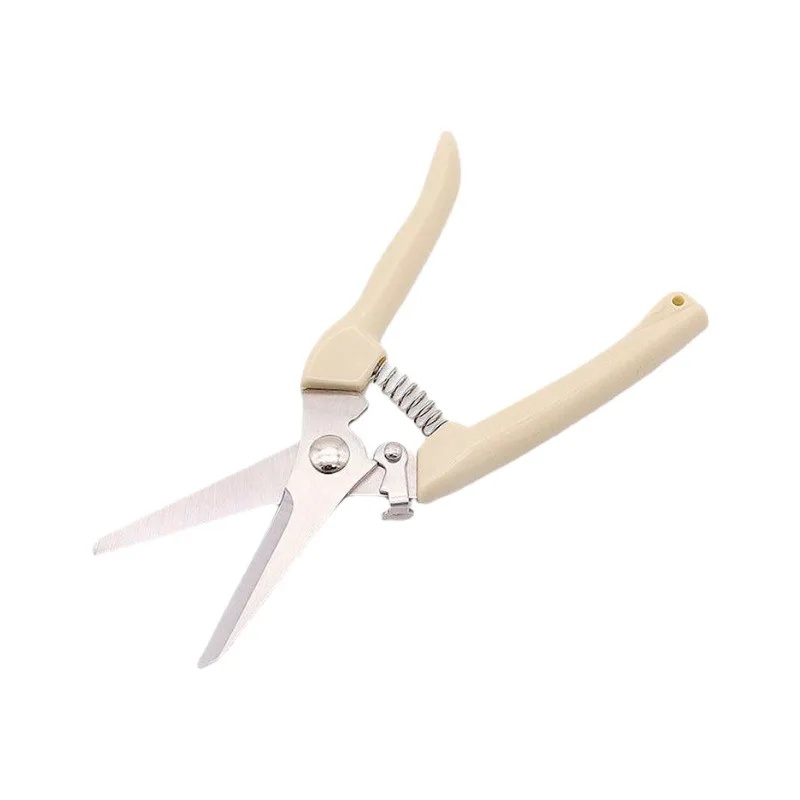 Arbeidsbesparende tuinsnoeisch - Pruning Shears recensie en prijs