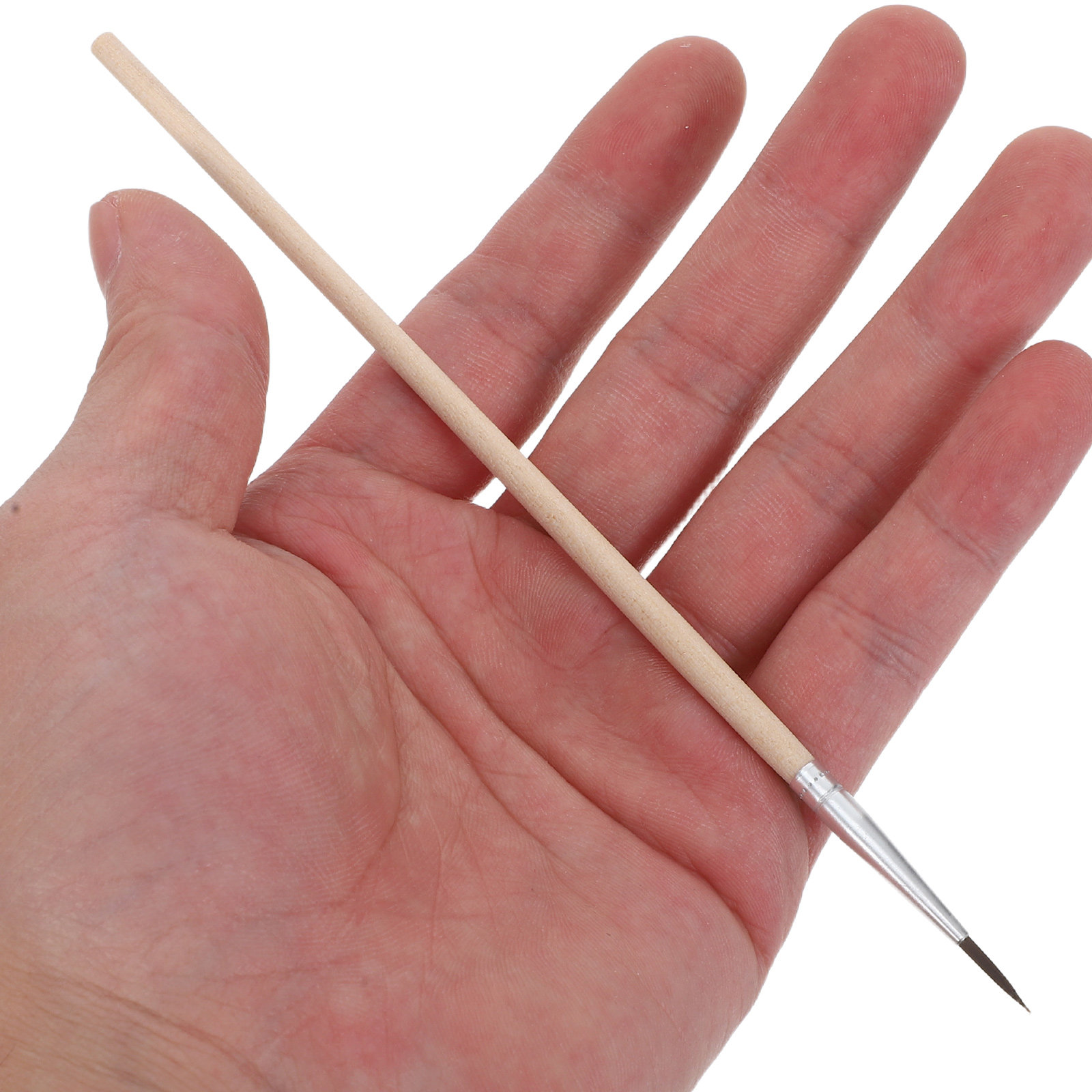 24 stuks tuinbestuivingsborste - Gardening Tools Vegetables recensie en prijs