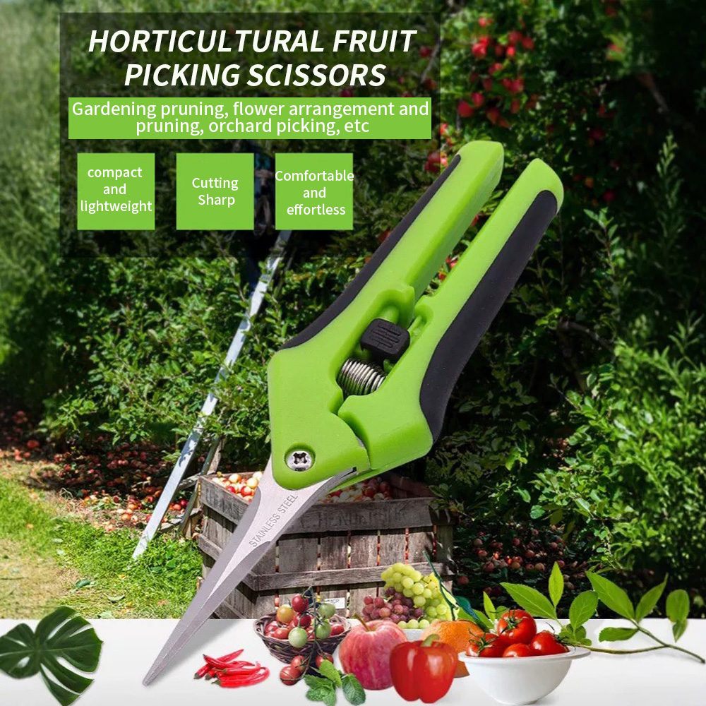 Gepunte fruitplukschaar 1 stuk - Gardening Tools And Uses recensie en prijs