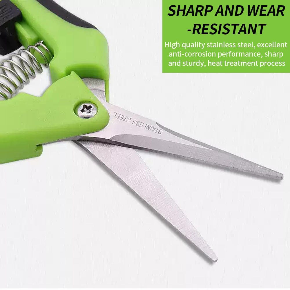 Gepunte fruitplukschaar 1 stuk - Gardening Tools And Uses recensie en prijs