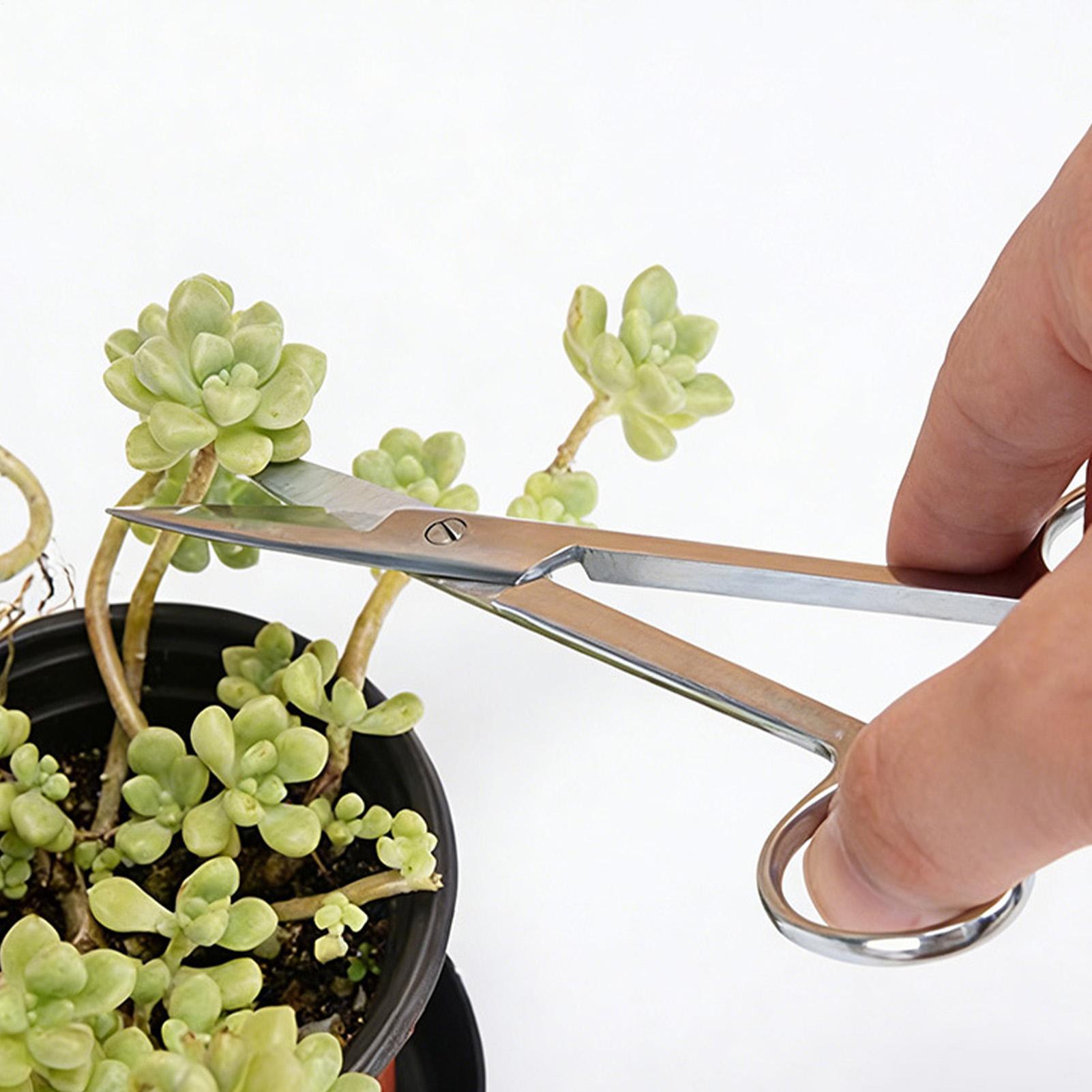 Plantenschaar Roestvrij staal  - Pruning Shears recensie en prijs