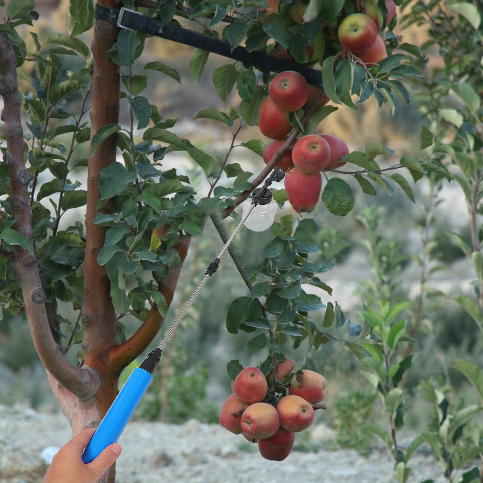 Handmatige bestuiverspuit voor - Gardening Tools And Uses recensie en prijs